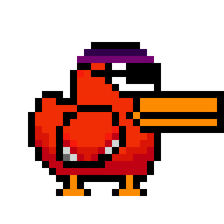 birds: 904