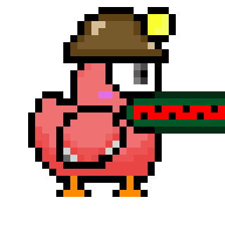 birds: 2050