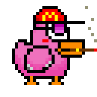 birds: 1684